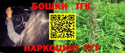 шишки Абинск