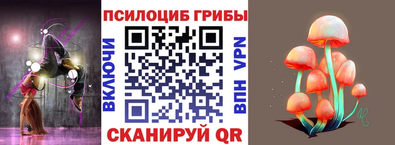 Галлюциногенные грибы Psilocybine cubensis  Медногорск 