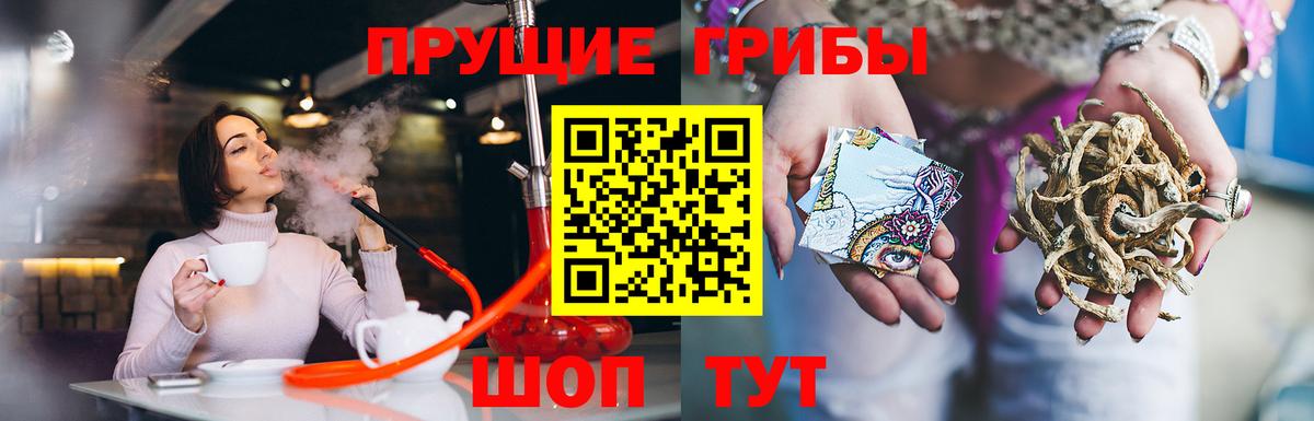 Медногорск  Галлюциногенные грибы Psilocybine cubensis  Вход с VPN 